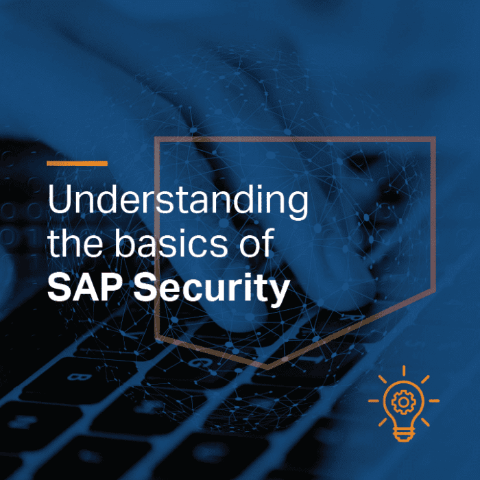 SAP Security